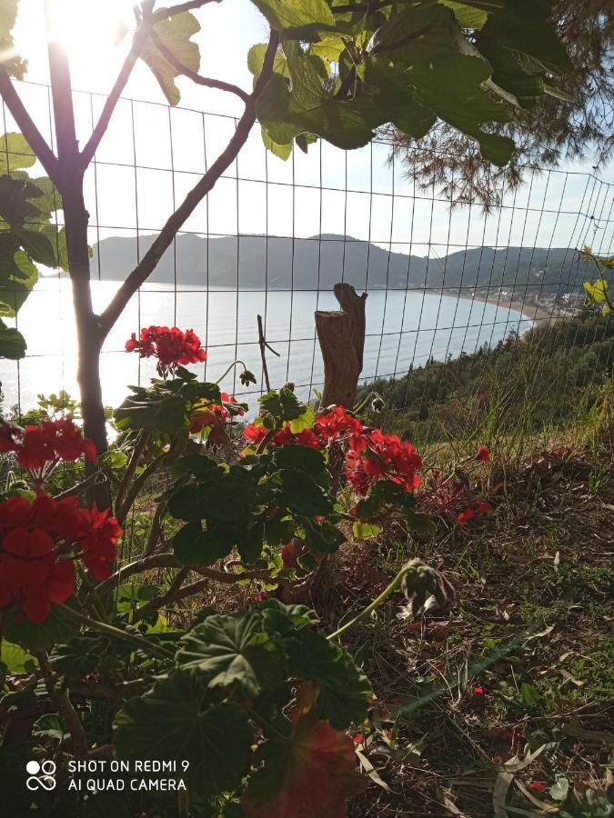 Cozy Apartment Few Mins From Beach Corfu Agios Georgios Pagon Bagian luar foto